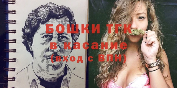 амф Алексин