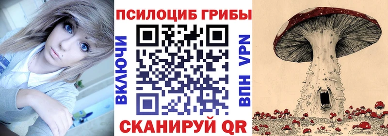 Псилоцибиновые грибы Psilocybine cubensis  магазин    Сыктывкар 
